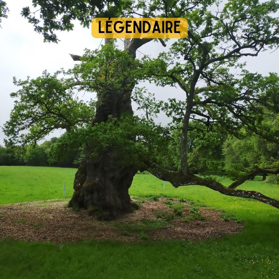 Camping Le Val Aux Fees - Broceliande Concoret Dış mekan fotoğraf